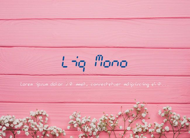 Liq Mono example